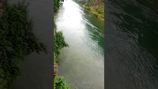 Rusizi River amazing river rushing from Kivu Lac to Tanganyika Lac(East Africa)