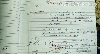 Ludwig's angina//clinical feature// diagnosis// investigation// treatment//