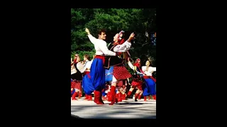 Українська народна пісня - Ти ж мене підманула... (slowed + reverb)