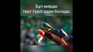 Бұл өмірде төрт түрлі адам болады!