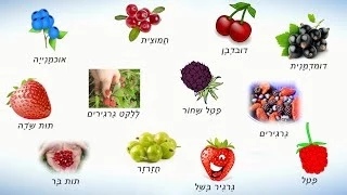 Ягоды на иврите. Учим названия ягод на иврите