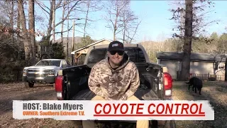 Coyote Hunting Tip #19 - How To Hunt Coyotes In Woods