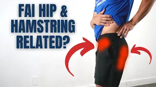 Can Hip Impingement Refer To The Hamstring