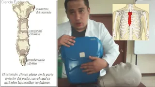 🌟REANIMACIÓN CARDIOPULMONAR RCP BÁSICO EN ADULTO (práctico)🌟