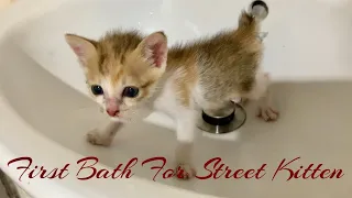 First Bath For Street Kitten || Kitten’s First Bath 😹