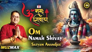 Om Namah Shivay | Satyam Anandjee | ॐ नमः शिवाय | सत्यम आनंदजी