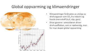 Samfunnsfag - Økonomisk vekst og bærekraftig utvikling