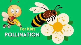 Pollination For Kids | What Is Pollination ? | Are Wasps Pollinators ? | Pollination Agents