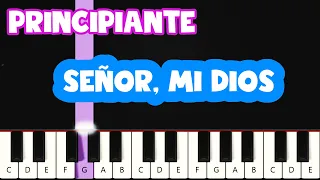 Señor, Mi Dios (Cuan Grande Es El) - Himno | Teclado y Piano Tutorial Nivel Fácil Para Principiantes