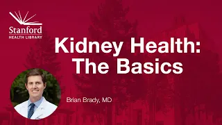 Kidney Health: The Basics
