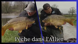 Pêche de la carpe dans l’Allier