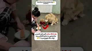 ♥مادر