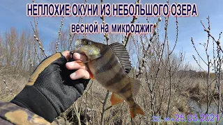 Оказывается в этом НЕБОЛЬШОМ ОЗЕРЕ вполне приличные ОКУНИ водятся!