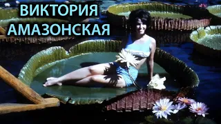 10 Самых необычных растений на земле