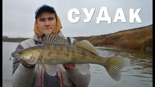 СУДАК на Оке. Ноябрьский ДЖИГ.