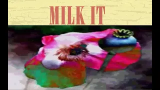 NIRVANA - Milk It (Legendado)