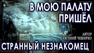 Е. ЧЕШИРКО - Истории на ночь Уютная Мистика перед сном - Голосом Некрофоса - Варгарт - "ИСПОЛНИТЕЛЬ"