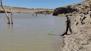 caldazo de tilapia filetera de la presa casi seca