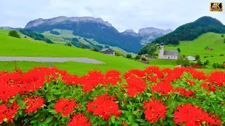 The Beautiful Swiss Countryside of Appenzell Switzerland 🇨🇭 | #swiss