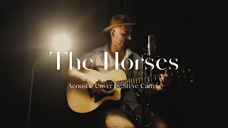 The Horses - Daryl Braithwaite (Acoustic Cover by Steve Carlyle)