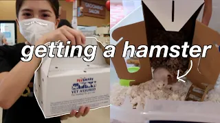 GETTING MY HAMSTER!! + hamster supplies haul | Oli Nicole