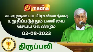 🔴 LIVE  02  AUGUST  2023 Holy Mass in Tamil 06:00 PM (Evening Mass) | Madha TV