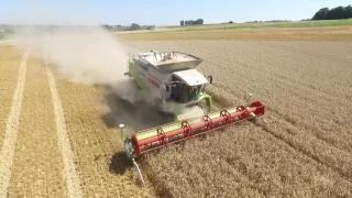 Weizen Ernte 2016 *Claas Lexion 600 TT*