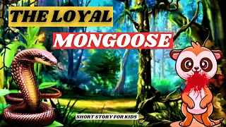 the loyal mongoose story in English | Mongoose vs Snake I Moral Stories In English I Fairy Tales