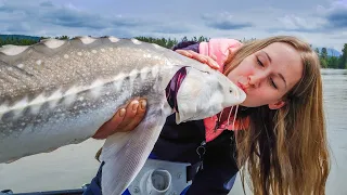 Sturgeon Fishing Fraser River, British Columbia, Canada