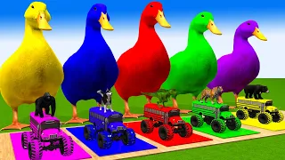 5 Giant Duck, Monkey, Piglet, chicken, dog, cat, lion, cow, Sheep, Transfiguration funny animal 2024