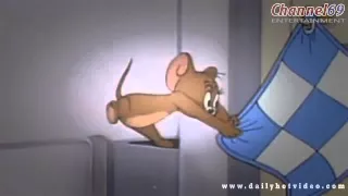 Tom and Jerry, 39 Episode   Polka Dot Puss