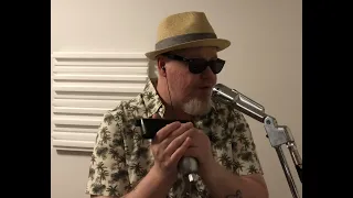 On the Road Again - harmonica cover Canned Heat