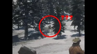 Who was that running and disappearing between the trees??? Sasquatch sighting? - RDR2