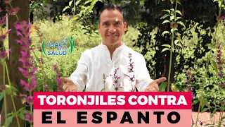 Los Toronjiles para combatir el espanto