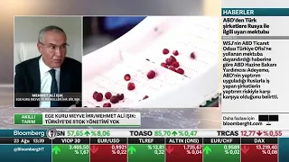 Mehmet Ali Işık / BloombergHT TV / 23.08.2022