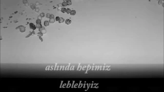cannes short film festival winner "LEBLEBİ"