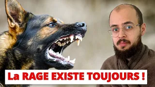 LA RAGE : UNE FEMME MEURT EN FRANCE ! (Mode de contamination, symptômes, traitements)