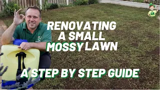 Renovating a small lawn (full of moss down one side)