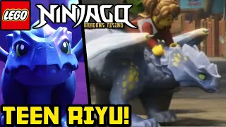 So, About Teenage Riyu... 🐉 Ninjago Dragons Rising SEASON 2 News!