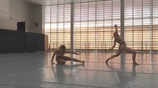 Rachele Pinzan - Coreografa e danzatrice contemporanea - performance e progetti