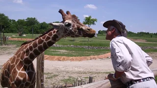 Jack Hanna's 40 years at the Columbus Zoo