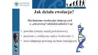 Adaptacja czy niedostosowanie – Bogusław Pawłowski na konferencji PBM