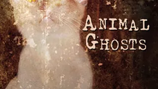 Animal Ghosts by Elliott O'DONNELL read by Allyson Hester | Full Audio Book