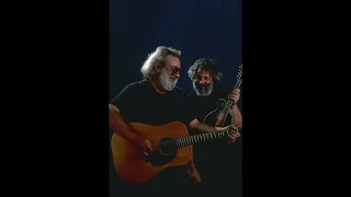 Jerry Garcia and David Grisman - 5/5/94 - Warfield Theater - San Francisco, CA - aud