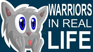 WARRIORS CATS IN REAL LIFE 2!!!!!