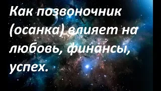 Как позвоночник (осанка) влияет на любовь,финансы, успех.