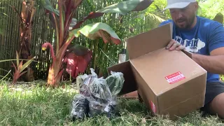 House Plant Unboxing