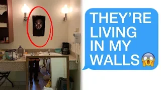 r/Letsnotmeet THEY'RE LIVING IN MY WALLS! 😱😱😱