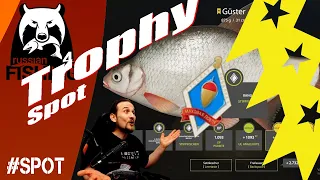 Russian Fishing 4 -Trophy Spot- Am Windenbach, Stippfischen, Qualifikation, Güster, Gründling, Don