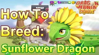 How to Breed: Sunflower Dragon - Dragon Mania Legends